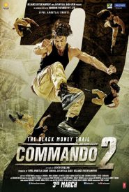 Commando 2